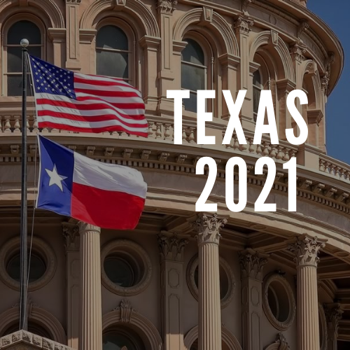 Texas 2021 report cover