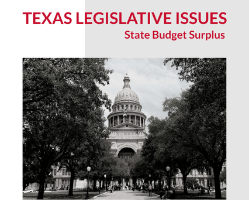texas-leg-2023 report cover