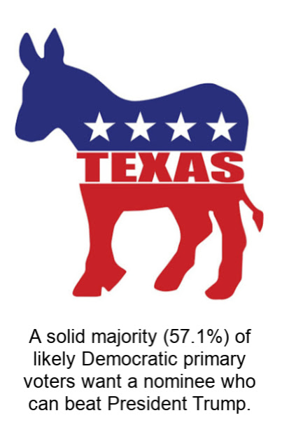 text graphic on how majority of likely Democratic primary voters want a nominee who can beat President Trump.