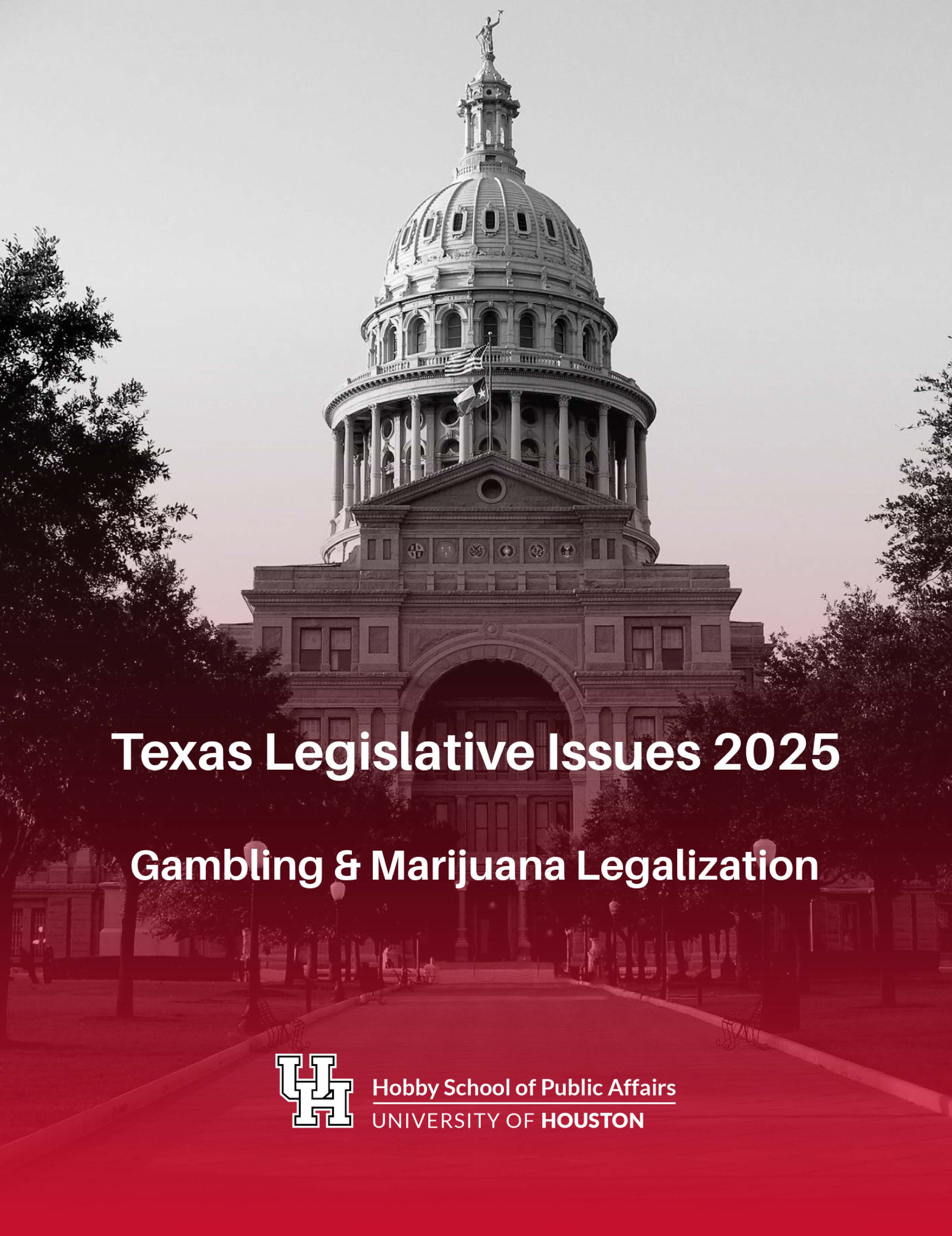 legalization report cover