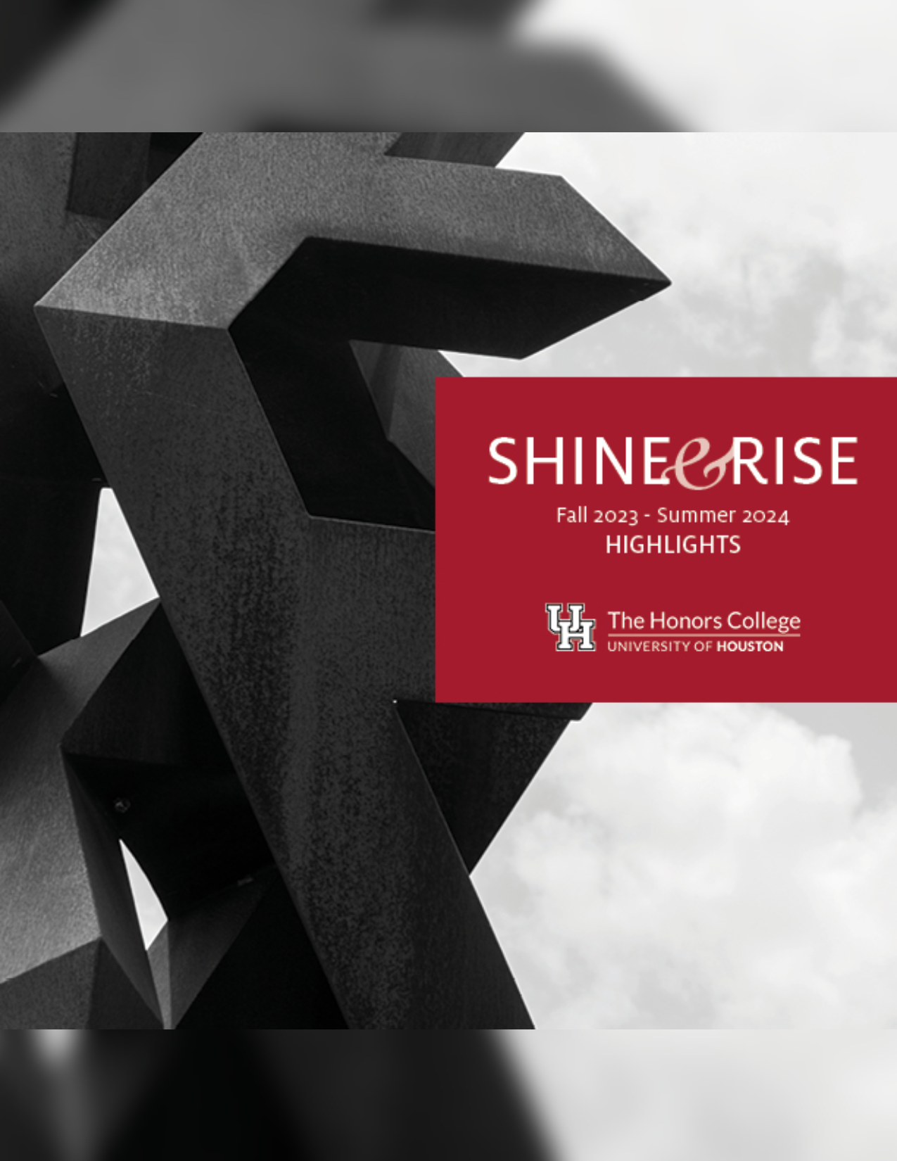Shine & Rise Annual Report