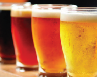 Beer through the Ages: A Cultural and Historical Tasting