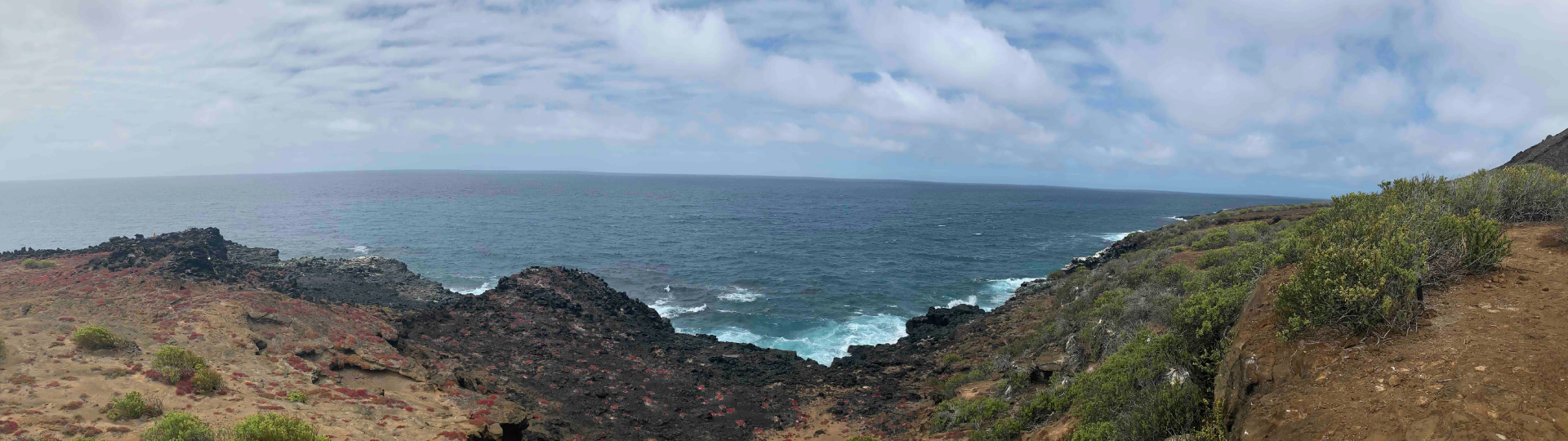 galapagos beach banner