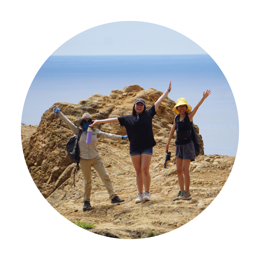 students on top of a mountain