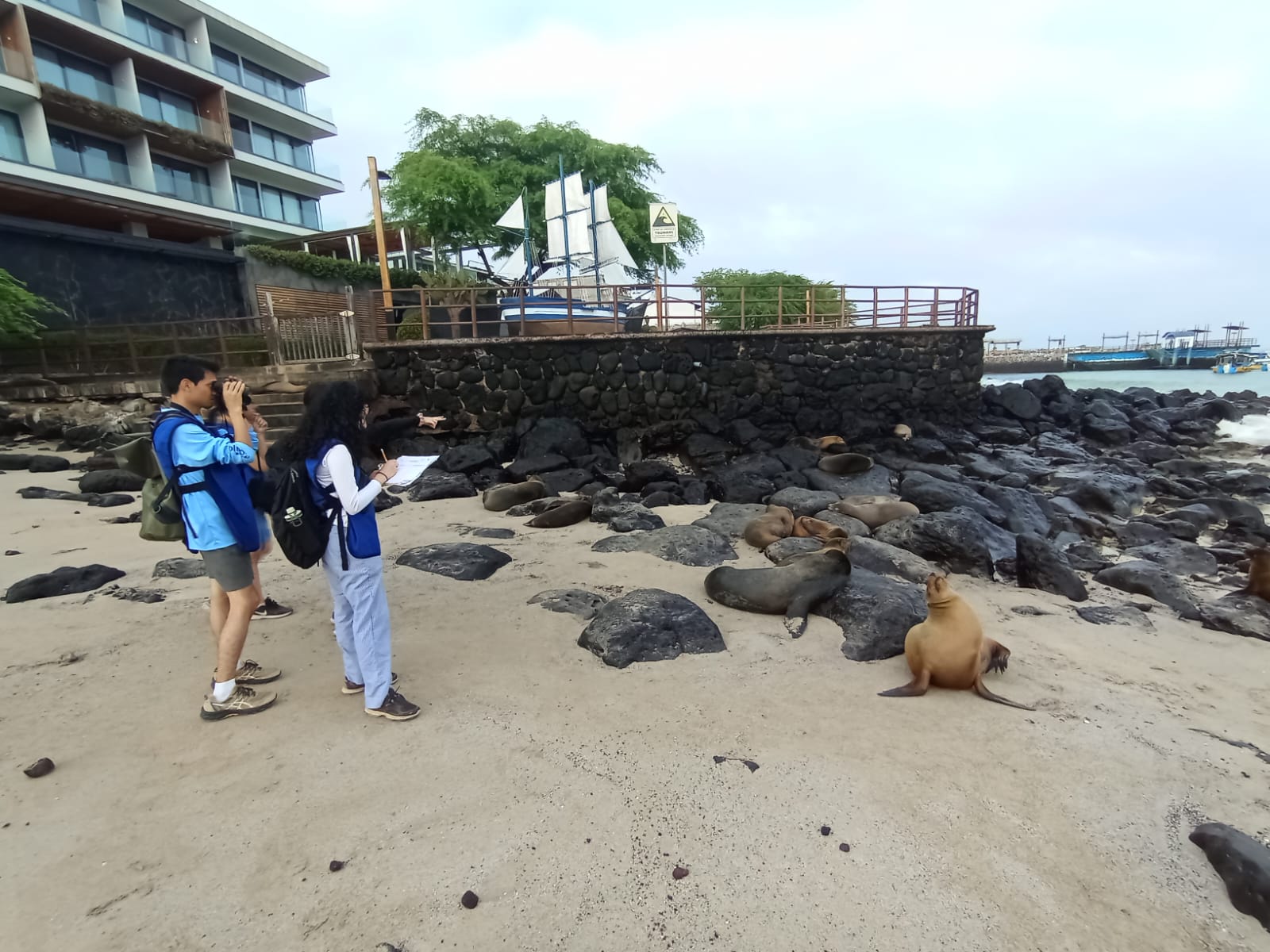 students working on beach