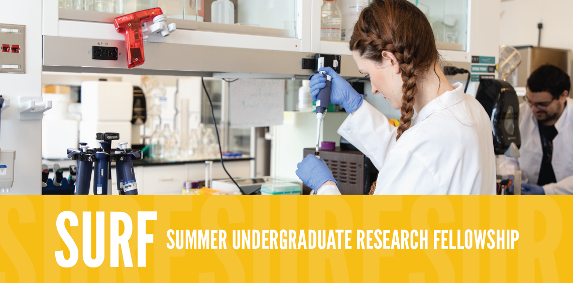 undergraduate research fellowship