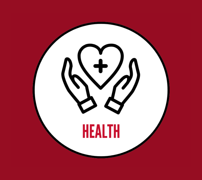 Health Icon