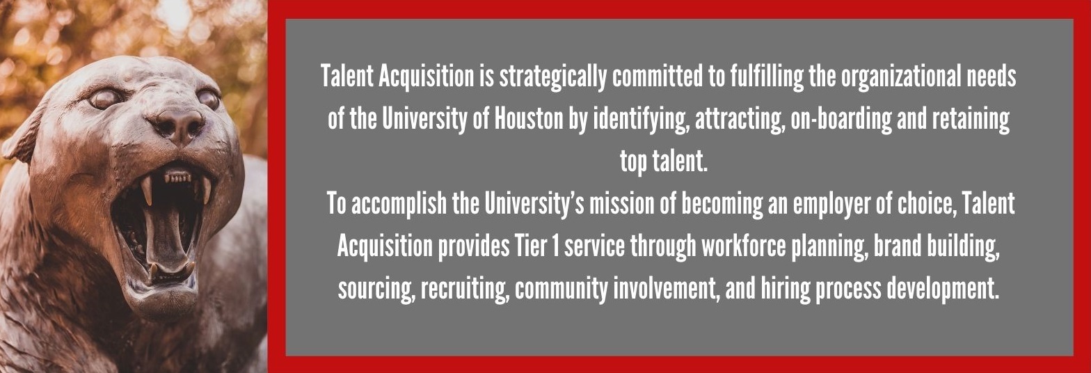 Talent Acquisition