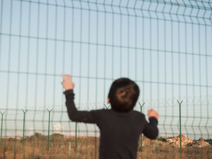 Child looking through a chain fence