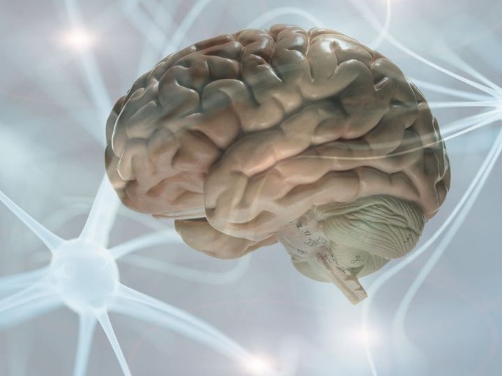 Brain signals Brain signals