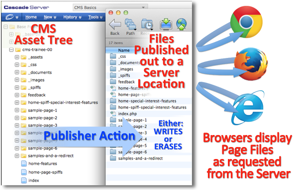 CMS Asset Tree vs. the CMS Publisher Action which places Folders, Pages, and Files on a Server where Browsers can then request and display them to site visitors on request.