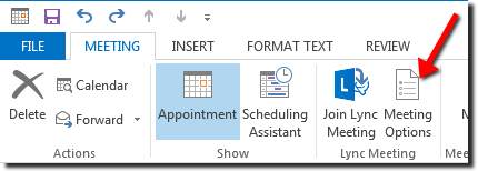 Meeting Options