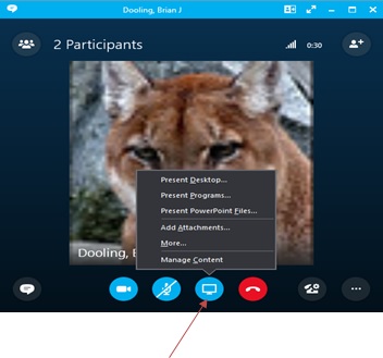 skype-sharing-desktop.jpg