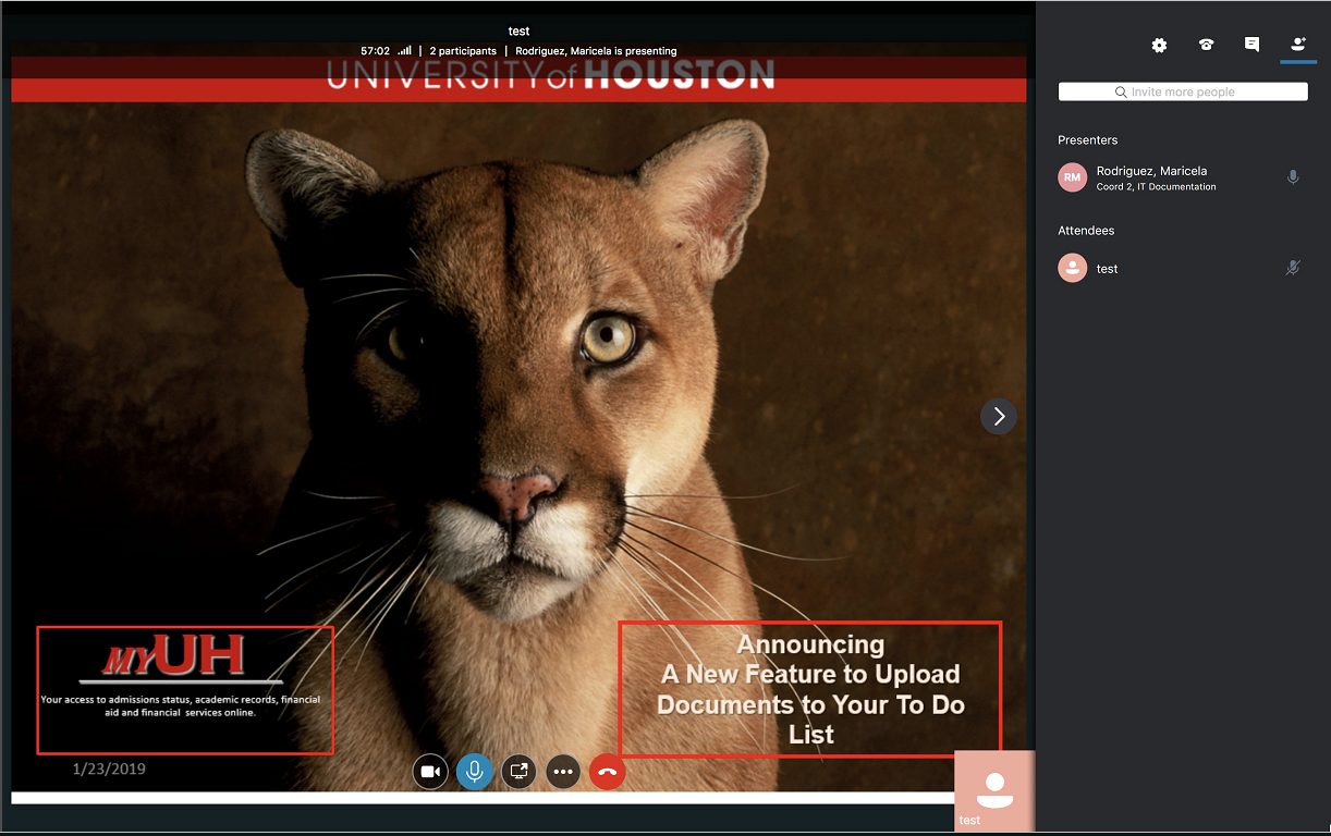 coogs.png