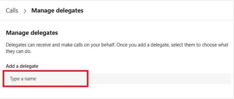 Enter Delegate Name