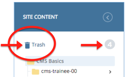 Trash can icon at top of Asset Tree in the Site Content panel