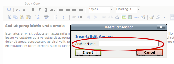 Named Anchors: The Insert/Edit Anchor dialog