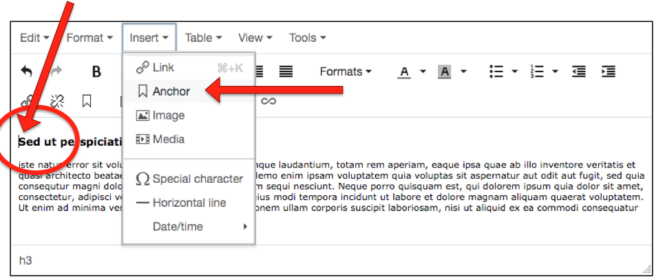 Named Anchors: Choose insertion point then select the Insert/Edit Anchor tool button