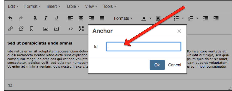 Named Anchors: The Insert/Edit Anchor dialog