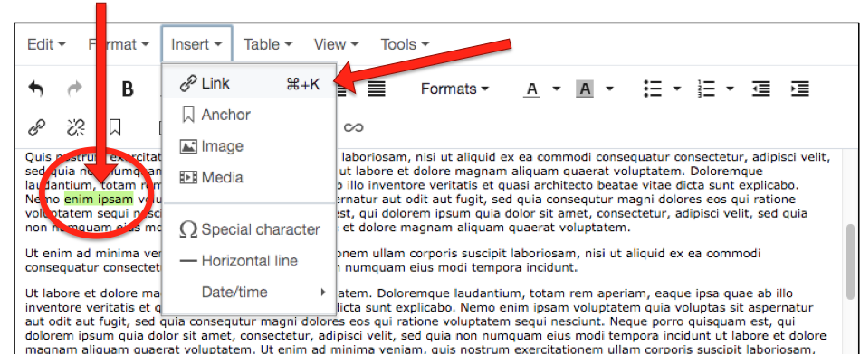WYSIWYG Editor with Insert > Link option indicated and chain link icon showing