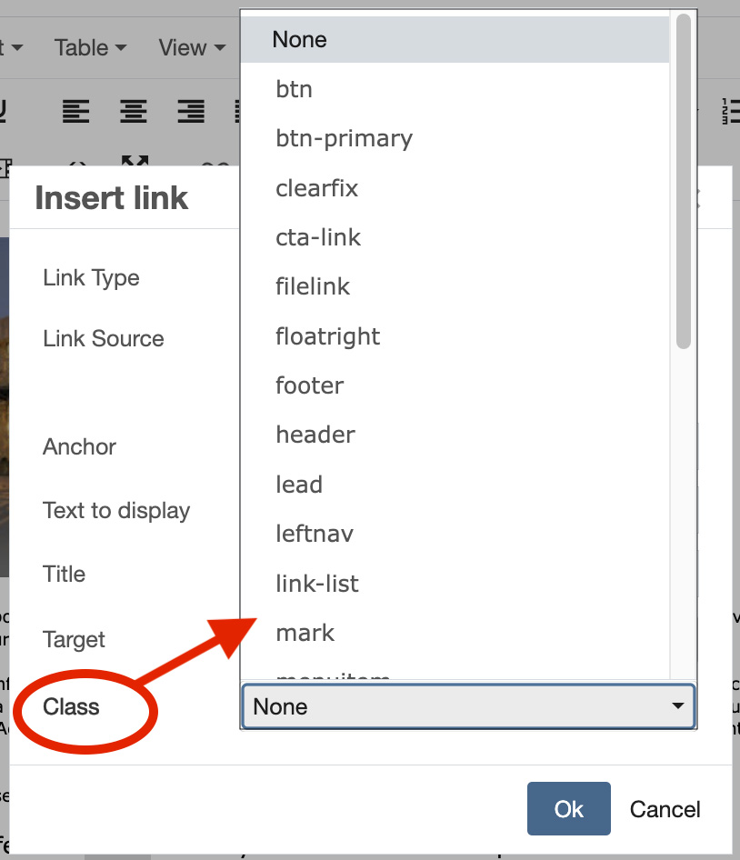 Insert Link dialog showing Class css list popout