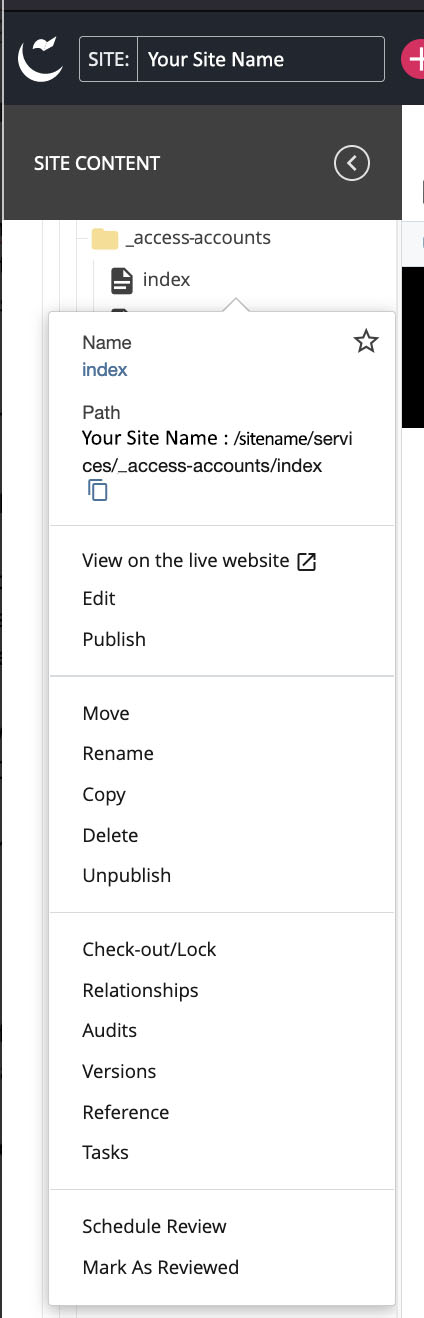 Context menu from an item in the asset tree - Cascade version 8.23