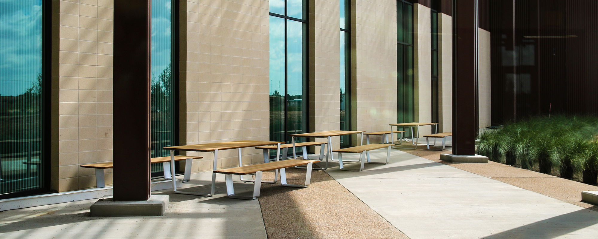 Sunlight shining on benches along an exterior brick wall with tall windows