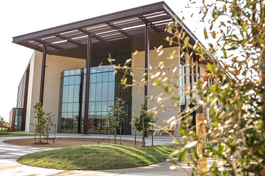 The glass entrance of a three story brick building. A brown metal awning is over the entrance, and tree branches with green leaves is in the foreground