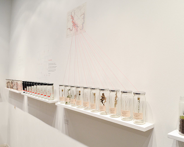 En/Gulf exhibition jar installations