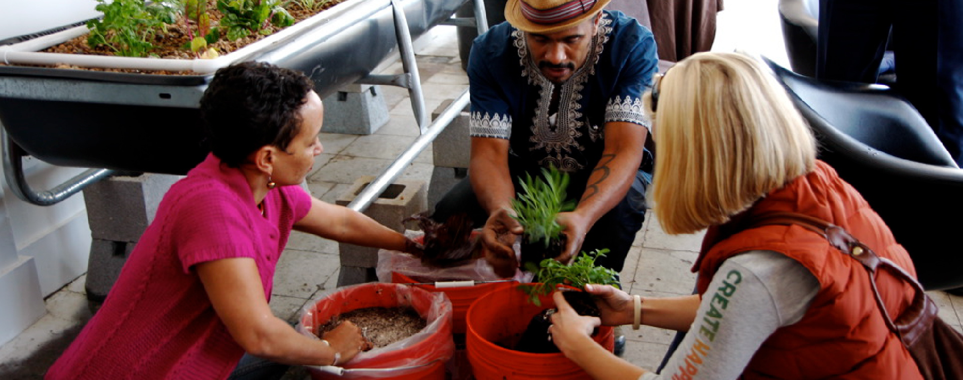 Three people kneeling and working together to pot plants with a raised metal trough of vegetation to their left.
