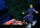 A Midsummer Nights’s Dream Opera Production Pictures