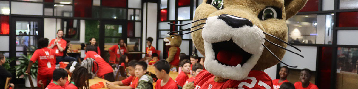Summer camps at UH
