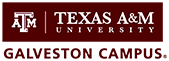 Texas A&M at Galveston logo