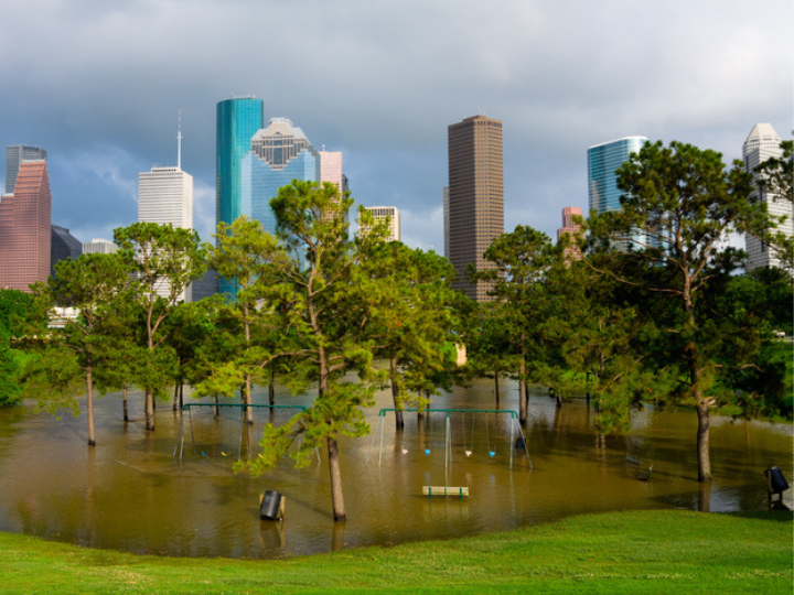 Houston Skyline Houston Skyline