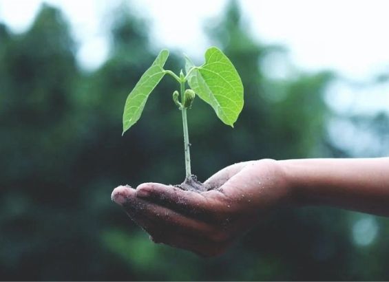 earth month earth month