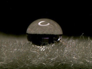 C-Voltaics 