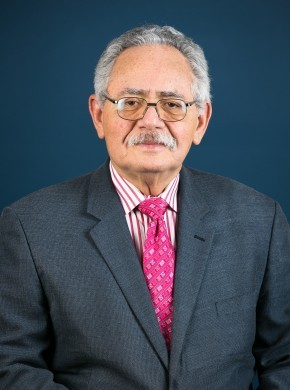 de la Garza