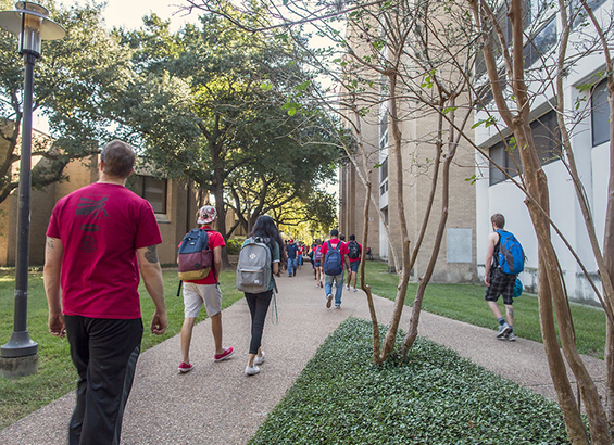 University of Houston University of Houston