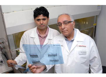 Anees A. Banday and Mustafa F. Lokhandwala, University of Houston