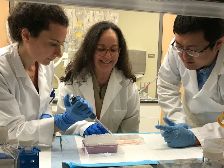 The Akay Lab biomedical research team The Akay Lab biomedical research team