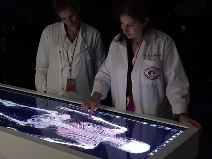 Anatomage Table Anatomage Table