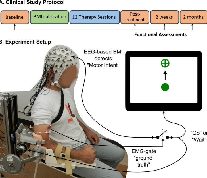 stroke study 2