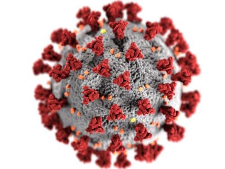 Coronavirus image from CDC
