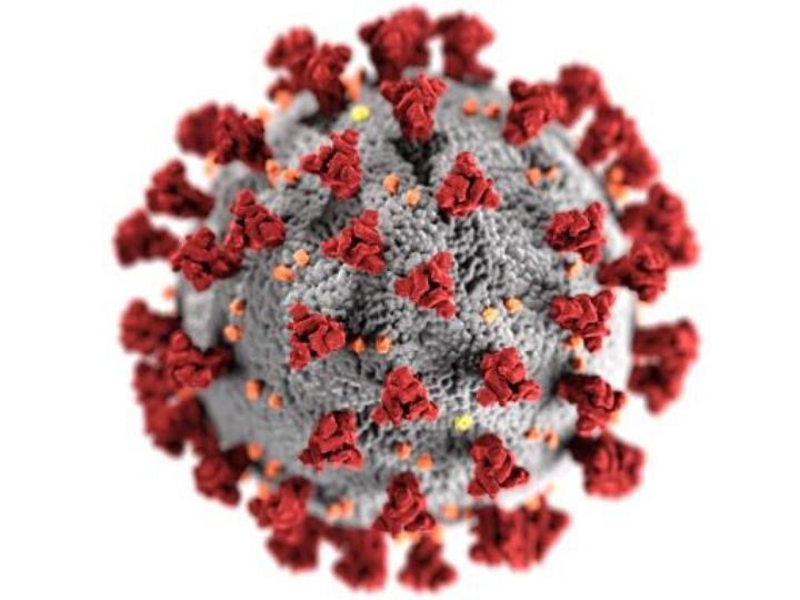 COVID virus COVID virus