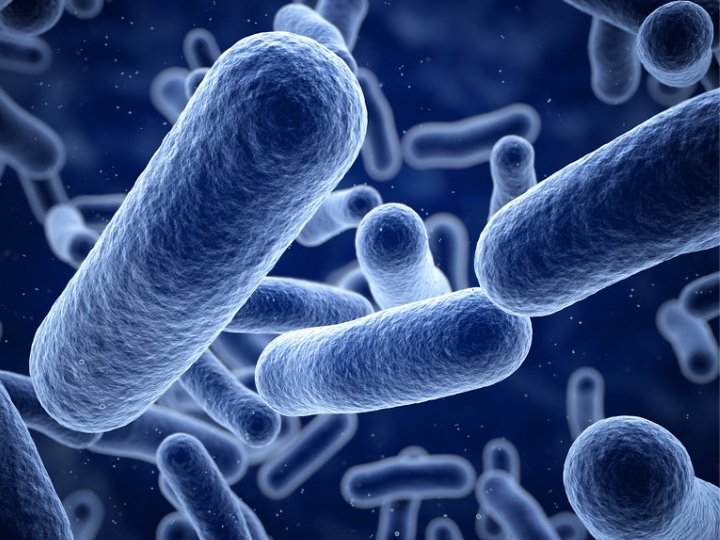 GettyImages bacteria GettyImages bacteria