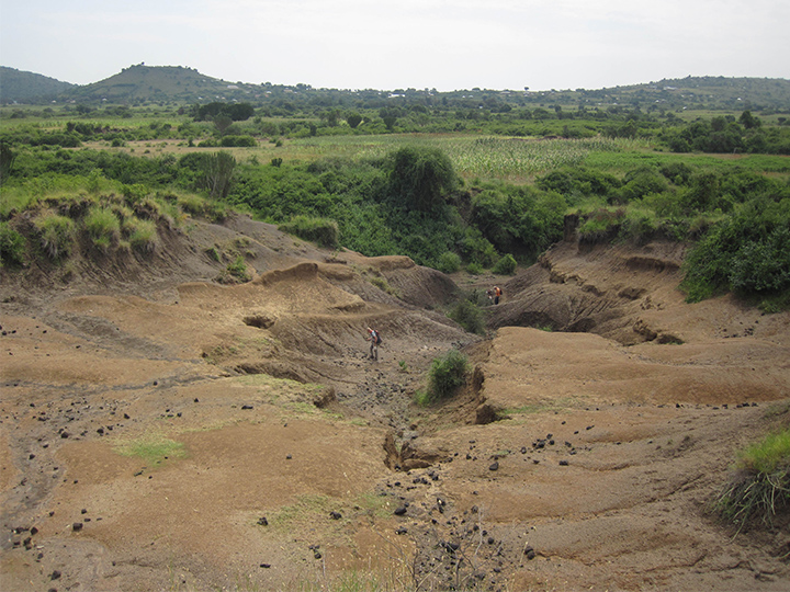 Lake Victoria outcrops 