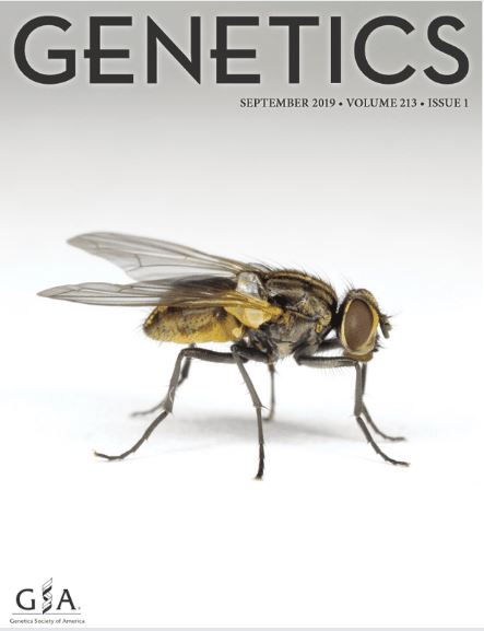 Genetics cover article