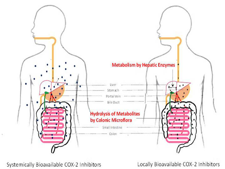 chart of drug pathways