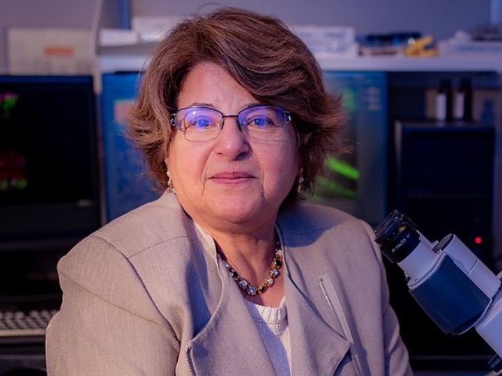 Muna Naash, John S. Dunn Endowed Professor of Biomedical Engineering