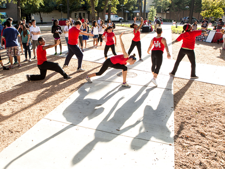 Party in the Grove